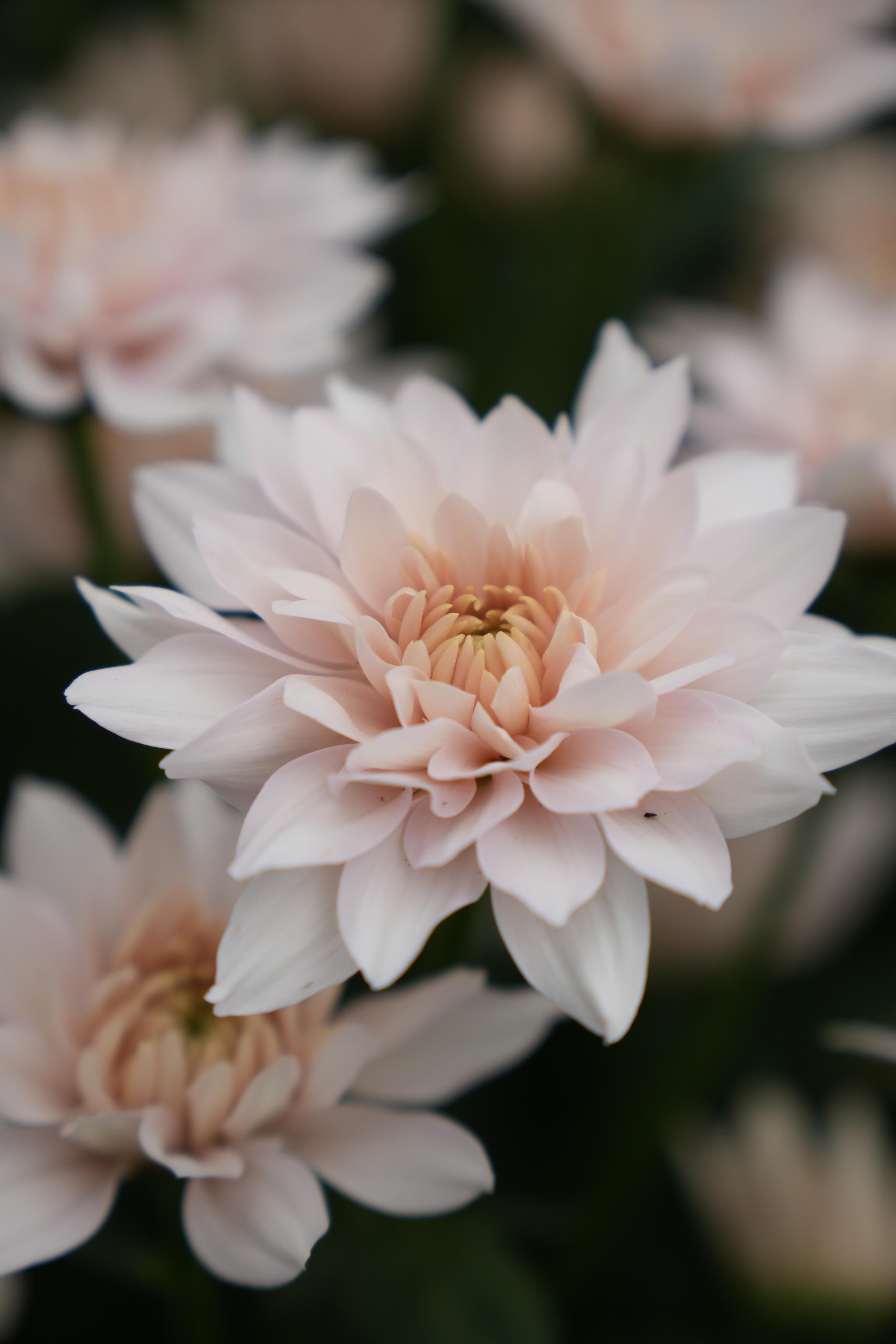 Product & Lifestyle Shoot